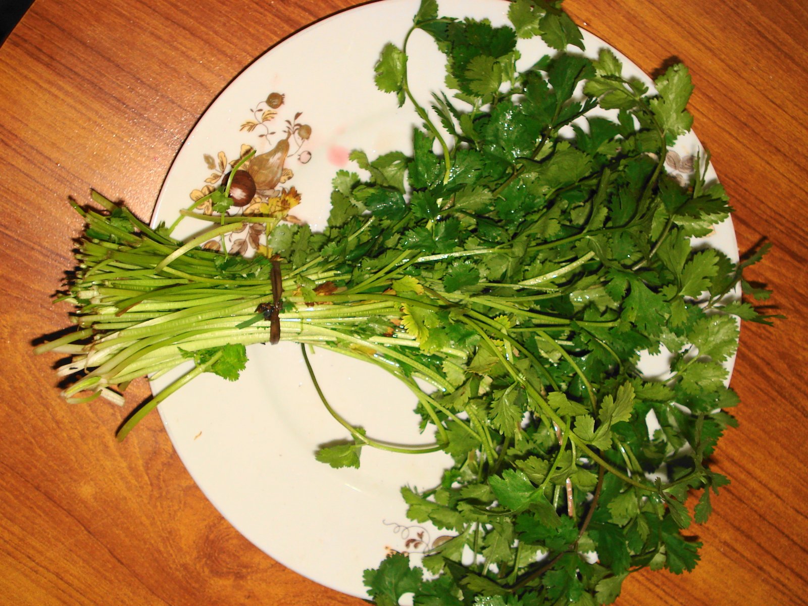 A bunch of fresh coriander on a patterned plate.